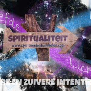 Energie consult